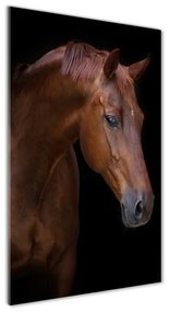 Akrilkép Portré egy ló oav-114030424
