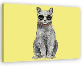Gario Vászonkép Macska szemüveggel - Rykker Méret: 60 x 40 cm