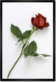 Poszterek keretben 40x60 Nőnap Ajándék Love