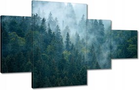 Vászonkép 130x80 Erdő a ködben Utazás
