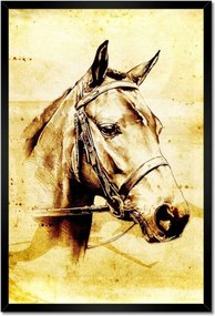 Poszterek keretben 40x60 Lófej