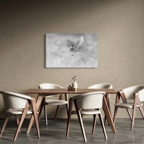 Kép - Bagoly, fekete-fehér (90x60 cm)