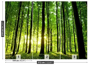 Fotótapéta Zöld erdő 104x70 cm