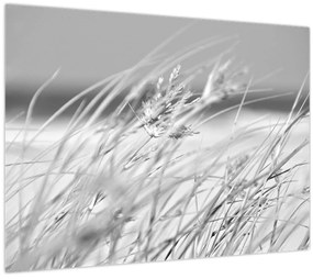Üveg kép - Strandfű (70x50 cm)