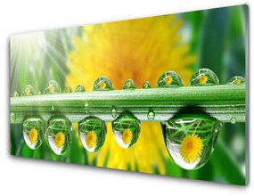 Üvegkép Stem Dew Drops Plant 120x60cm 2 fogas