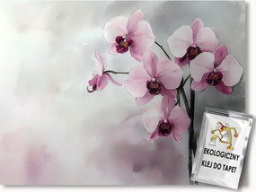 Fotótapéta Flizelina Grafika Rózsaszín Virág Orchidea 254x184 ragasztó