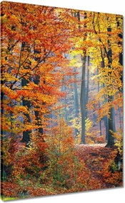 Vászonkép 50x70 Arany ősz