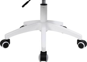 Irodai szék, szürke/fehér, PASTURA