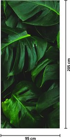 Fotótapéta ajtóra - Monstera levelek (95x205cm)