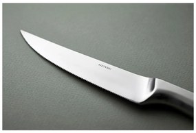 Ezüstszínű rozsdamentes acél evőeszköz készlet 4 db-os Norm – Gense