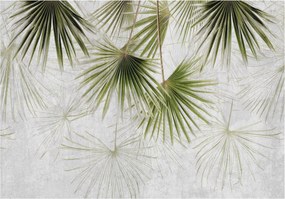 Flizelin fotótapéta Pálmafák Árnyékok Levelek Elegancia Nyugalom 350x250 +ragasztó