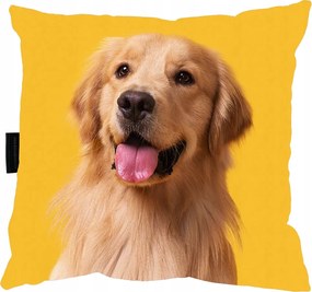 Golden Retriver Kutyapárna 40x40 Ajándék