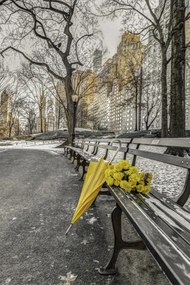 Poszter 40x60cm Egy csokor sárga virág és egy esernyő a park padján, Assaf Fra