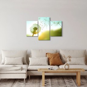 Kép - Pitypang a szélben (90x60 cm)