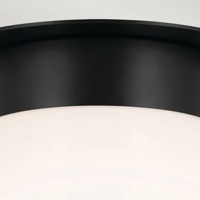 Kichler KL-ALBERS-F-T-BK-mennyezeti lámpa ALBERS 1xE27/40W/230V átmérő 21,6 cm fekete