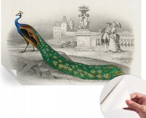 Fotótapéta Fali tapéta Hálószobába és Nappaliba Színes tollak 416x254 cm