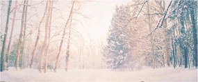 Kép - Kilátás az erdőbe (120x50 cm)