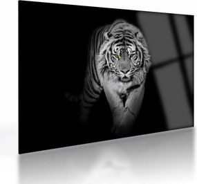 Üveg kép - Sárga szemű tigris (70x50 cm)
