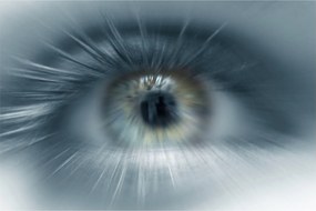 Kép - Szemnézet (90x60 cm)