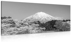 Kép Fuji hegy fekete fehérben