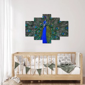 Kép - Páva (150x105 cm)