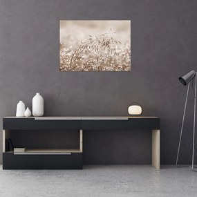 Üveg kép - rét barna árnyalatokban (70x50 cm)