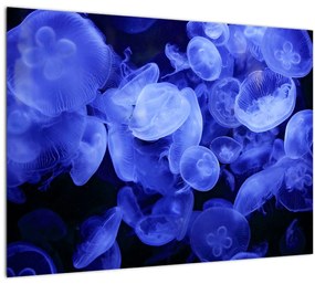 Kép - Medúza (üvegen) (70x50 cm)
