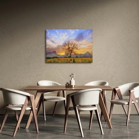 Kép - Táj napraforgóval (70x50 cm)
