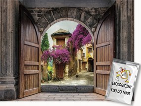 Fotótapéta Flizelina Ajtó Kilátás 3D Város Óváros Virágok 250x175 ragasztó