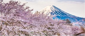 Kép - Japán tavasszal (120x50 cm)