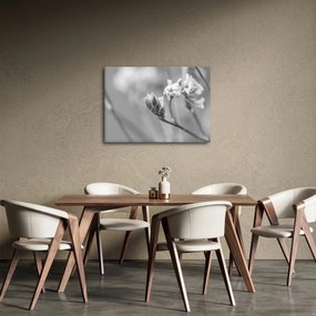 Kép - Virágzó virág (70x50 cm)