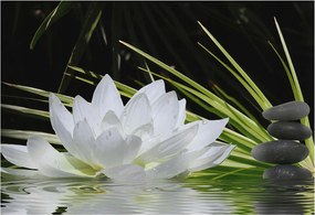 Fotótapéta Flizelin Dekoratív tapéta Liliom meditáció 152x104 Ragasztó