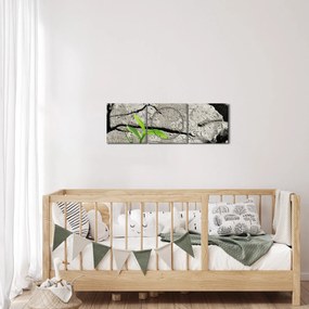 Kép - Repedések (órával) (90x30 cm)