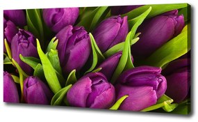 Egyedi vászonkép Lila tulipánok oc-89975331