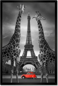 Poszterek keretben 40x60 Zebrák az Eiffel-torony előtt