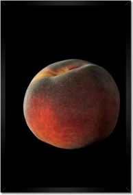 Poszterek keretben 40x60 Érett őszibarack