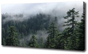Feszített vászonkép Erdő köd oc-103817714