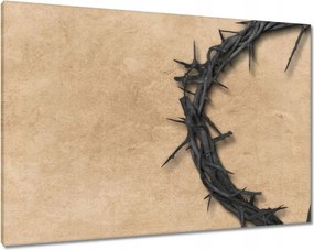 Vászonkép 100x70 Töviskorona Tövisek