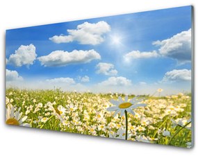 Akril üveg kép Daisy Meadow Természet 100x50 cm 2 fogas