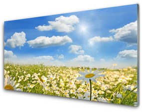Akril üveg kép Daisy Meadow Természet 100x50 cm