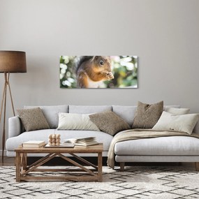 Mókus képe (120x50 cm)