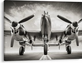Kép - Warbird (70x50 cm)