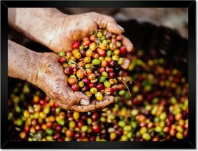 Poszterek keretben 40x30 Kávé szett Kávé