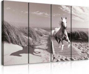 Vászonkép 120x80 Fehér ló galopp tengerpart dűnék szabadság természet mozgás energia