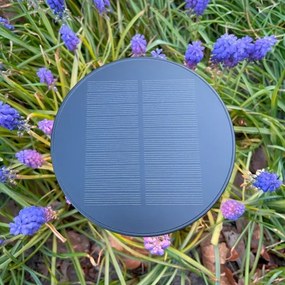 Zuma Line DT33611 - CARLI LED napelemes lámpa 2W, 2000 mAh, IP44 fekete