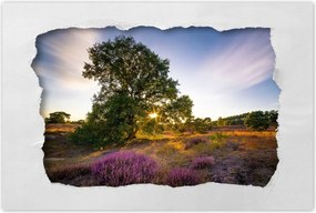 Poszterek 60x40 Tájkép Látvány