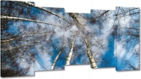 Festmények 150x80 Nyírfa