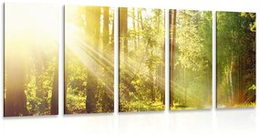 5-részes kép napsugarak az erdőben