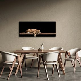 Kép - Lioness (120x50 cm)