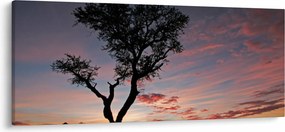 Kép - Fa és vöröses árnyalatok (120x50 cm)